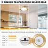 YURNYQ Dimmable White and Gold Flush Mount Ceiling Light Modern