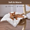 Petace Self Warming Cat Bed, 30" x 21" Self Heating
