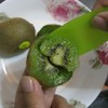 10Pcs Ergonomic Handle Fruit Digging Spoon Comfortable Fruit Kiwi Cutter