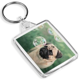 Destination Vinyl Keyrings Cute Tan Pug Keyring - Fawn Pugs Dogs Puppy Animal Pets Lover's #16800