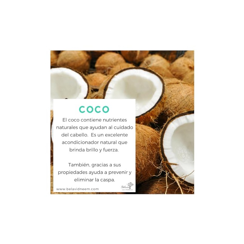 Shampoo Control Caída y Acondicionador Reparador Neem