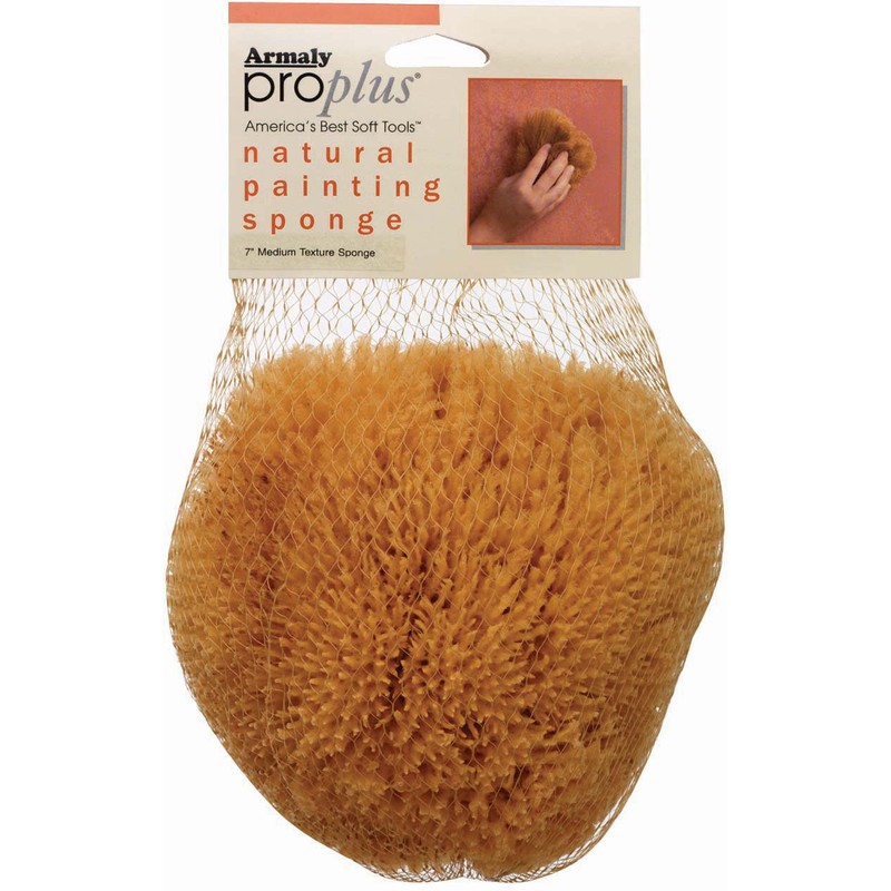 ProPlus Natural Painting Sponge Medium Texture, Small, No Size, Brown