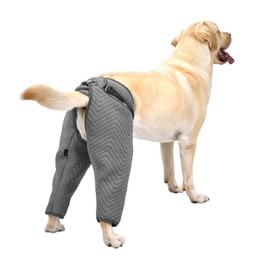 Arblina Dog Bodysuit After Surgery, Dog Bodysuit for Rear Legs, Post-Operative Recovery Suit for Male & Female Dogs, Leak Protection Dog for Small/Medium/Large Dogs