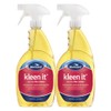 BioGuard Kleen It Filter Cleaner (1 qt) (2 Pack)