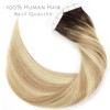 LacerHair Tape in Hair Extensions Human Hair Caramel blonde Mixed