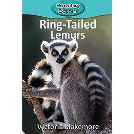 Ring-Tailed Lemurs