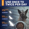 Natural Antibiotics for Dogs for Allergies, Infections, Coughs, Digestive Moments