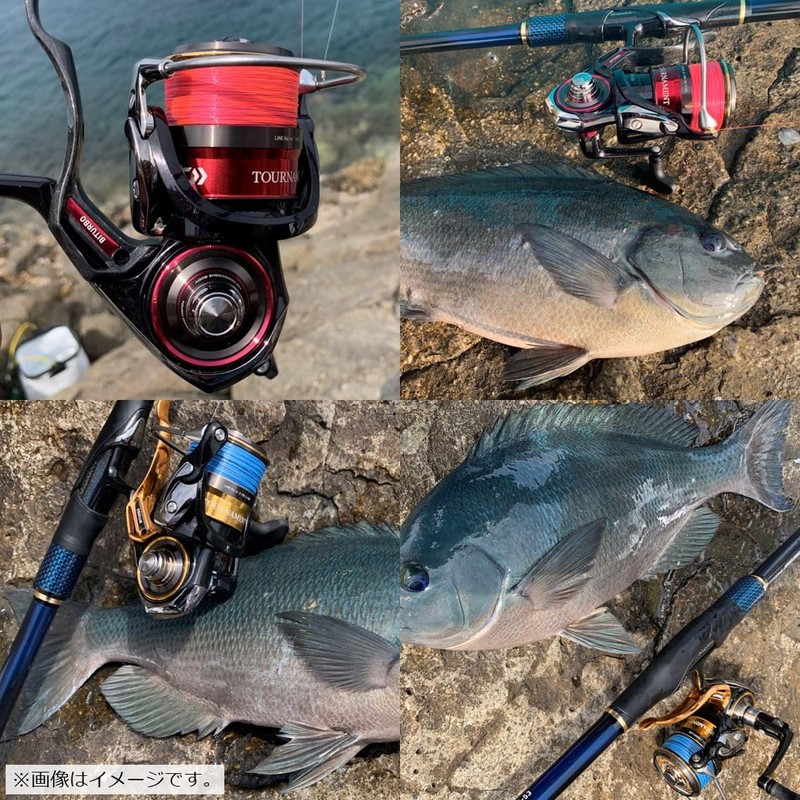 Daiwa LPM1.85-150 Road Line Astron Iso MAX Gamma 2