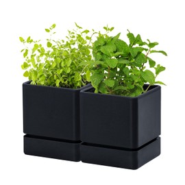 4 Inch Herb Planter Pot, Plastic Planter with Drainage Holes and Saucer, Modern Decorative Gardening Pot for Indoor Plants, Flowers, Herbs, Succulents, Black, Set of 2, 76-Y-B-2