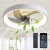 Ricodo 20" Modern Fan Lights Flush Mount LED Ceiling Light