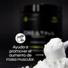 Creatina Monohidratada y Micronizada 300grs. Alka Balance