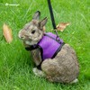 Niteangel Adjustable Soft Harness with Elastic Leash for Rabbits (M,