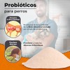 Fancy Pets MS Probiótico para Perros 90g