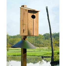 Cypress Wood Duck Nesting Box