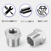 TAILONZ PNEUMATIC 2pcs Cast 304 Stainless Steel Reducer Hex Fittings,