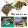 Hamiledyi Leopard Gecko Tank Accessories, 10 Pcs Reptile Vines Plants