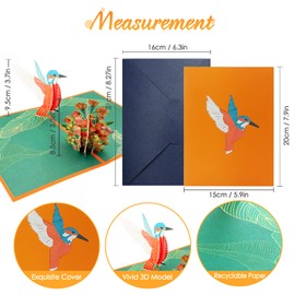 DORART 3D Pop Up Hummingbird Birthday Cards for All Occasion, Funny Birthday Greeting Card for Women, Wife, Kids, Mom, Her, Girls, Mother's Day Gifts Graduation Friendship Thank You Thinking of You