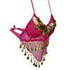 Women's Belly Dance Costume Set Indian Dance Performances Outfit, pink