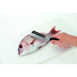 Endoshoji TKG BKTM601 Professional Kitchen Tool, Fish Scaler with Polypropylene Handle, Metal Part Stainless Steel