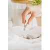 Seymour's Stainless Steel Pegs 40 Pack