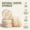 Esponja Vegetal Natural Lufa Blanca para Jabón Casero y Exfoliación