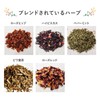 ハーブティー 毒出ししませんか tea 茶葉タイプ 100g ローズヒップ ハイビスカス ペパーミント ブレンド オリジナル