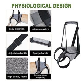 Adjustable Dog Lift Harness and Sling for Back Legs, Suitable for Large, Medium, Small Dogs, Aid for Injured, Disabled, Elderly Pets (XL)