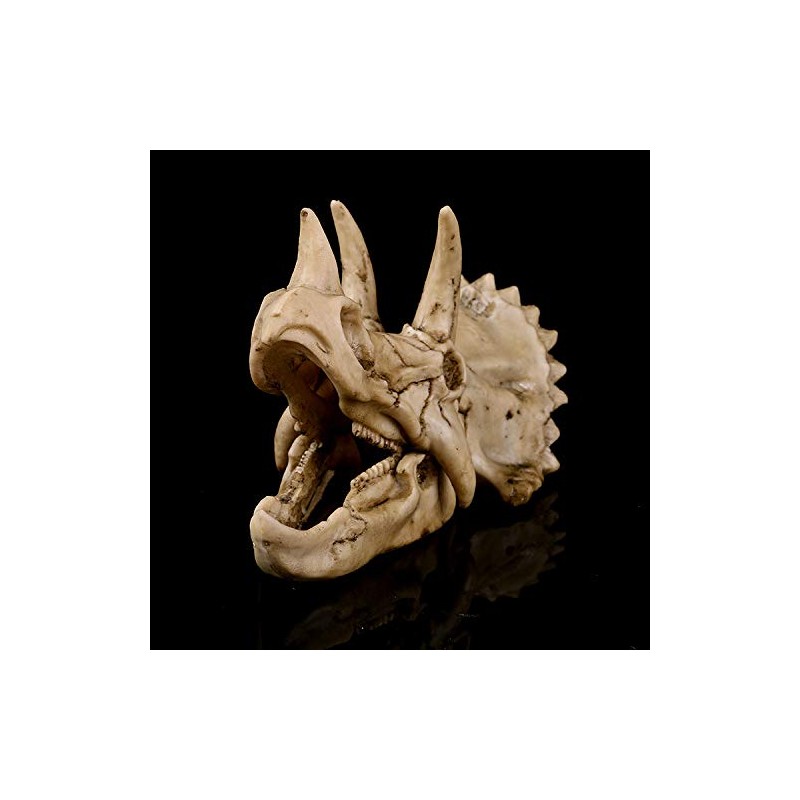VOANZO Resin Triceratops Skull Model Replica, Dinosaur Tooth Skull Fossil,