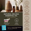 Gya Labs Melissa Essential Oil for Diffuser & Tea Tree