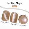 AZUREBEAUTY Cat Eye Brown Nail Polish with Magnetic Tool, Quick