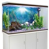 AWERT Vinyl 72x18 inches Underwater World Aquarium Background Aquatic Plants