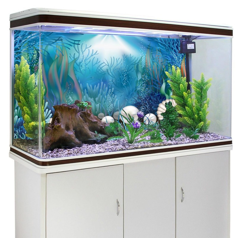 AWERT Vinyl 72x18 inches Underwater World Aquarium Background Aquatic Plants