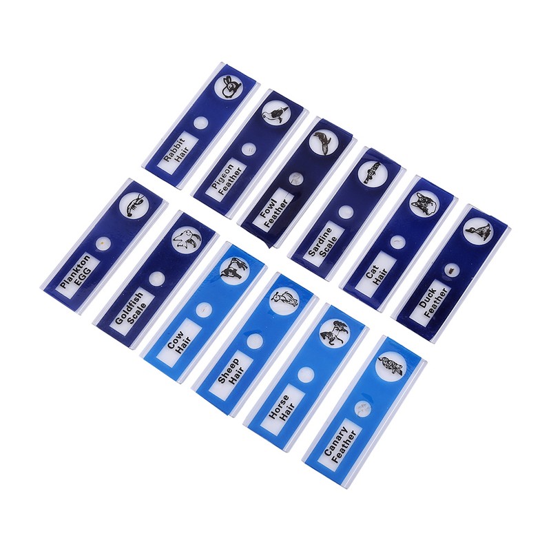 A Set Plastic Prepared Microscope Slides Animals Insects Plants Flowers