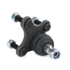 RIDEX Ball Joint 2462S0042 Lower Front Right Golf V Hatchback