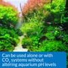 API Co2 Booster Freshwater Aquarium Plant Treatment 16 oz Bottle,