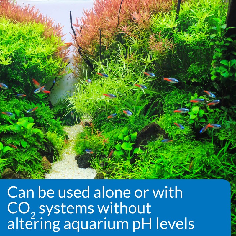 API Co2 Booster Freshwater Aquarium Plant Treatment 16 oz Bottle,