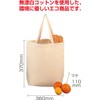 Artec Eco Bag (Unbleached Cotton) 71509 Kinari