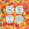 SmartSweets Sour Blast Buddies, Low Sugar Gummy Candy (3g), Low