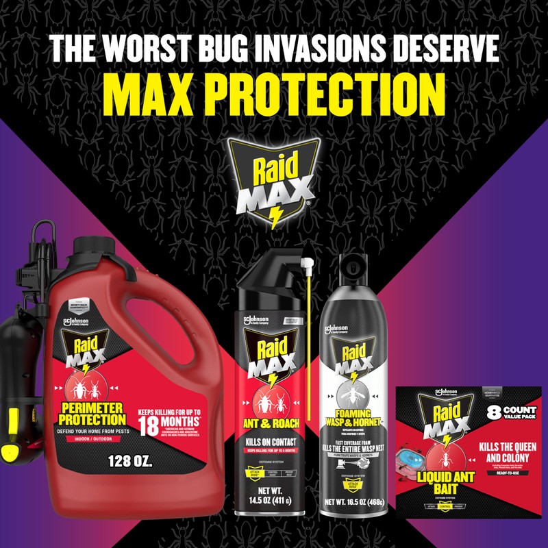 Raid MAX Perimeter Protection, 1 Gallon, Indoor & Outdoor Insecticide