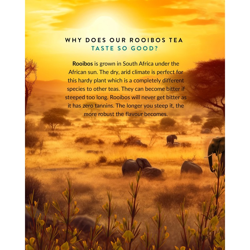 Tega Organic Earl Grey Rooibos Tea | Herbal Tea in
