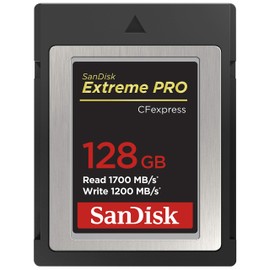 SanDisk 128GB Extreme PRO CFexpress Card Type B - SDCFE-128G-GN4NN, Silver