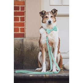 Soft Leather Bowtie Dog Collar - Adjustable Cute Bow Tie Collar [Easy to Clean] with Stylish Rose Gold Heavy Duty Metal Buckle for Small Medium Large Dogs Mint Green S