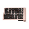 BT304 22 Keys Numeric Keypad Wireless Mini Keyboard Compatible with