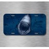 Amel Shark Attack Great White Shark Jaws tiburón Ocean License