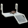 Fhiny Hanging Turtle Basking Platform, Plastic Turtle Dock Basking Area