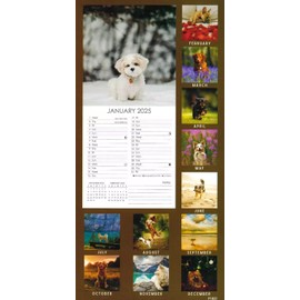 2025 Slim Wall Calendar Planner Spiral, Scenic, Postal, Envelope,Sleek and Compact Calender Gift .Wider Range of designs (30 x14cm) (Dogs & Puppies)