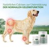 AniForte AniForte Egg Shell Powder 250g Calcium for Dogs &