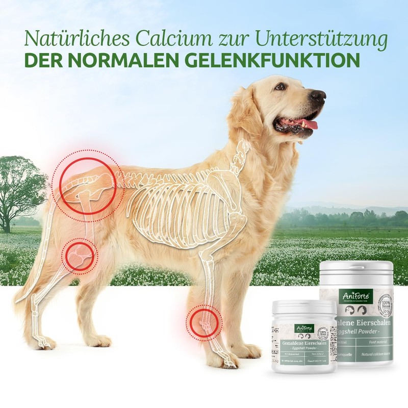 AniForte AniForte Egg Shell Powder 250g Calcium for Dogs &
