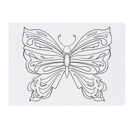 'Butterfly' Temporary Tattoo - Water Resistant, Skin-Safe, Non-Toxic Transfer (TO00082069)