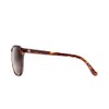 Electric Visual Encelia Gloss Tortoise/OHM Grey Polarized Sunglasses